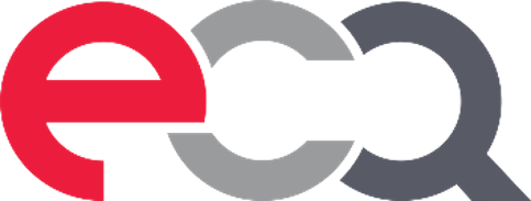 E-CQURITY PTE LTD